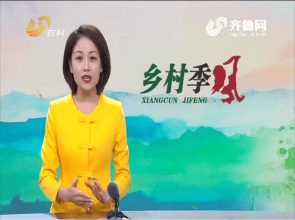 長毛兔——新絨兔，含絨量達80％，一斤絨毛一百二