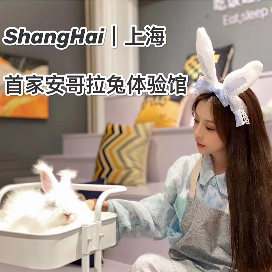 上海安哥拉兔體驗(yàn)館